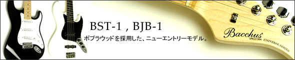 BST-1 / BJB-1 特集