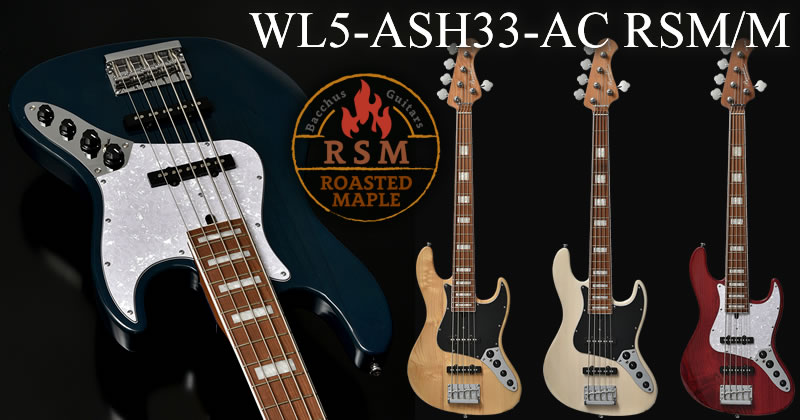 WL5-ASH33-AC RSM/M