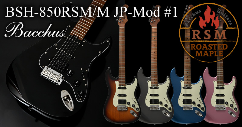 BSH-850RSM/M JP-Mod #1