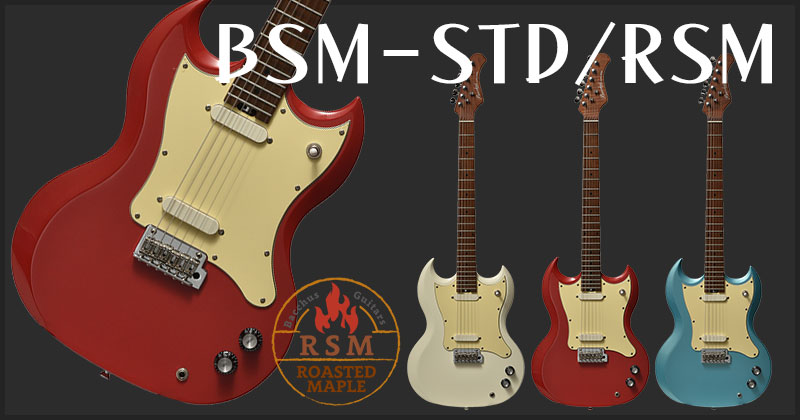 BSM-STD/RSM