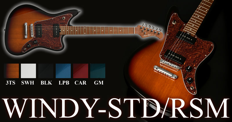 WINDY-STD/RSM