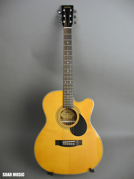 Headway guitar. Model: Hec-48