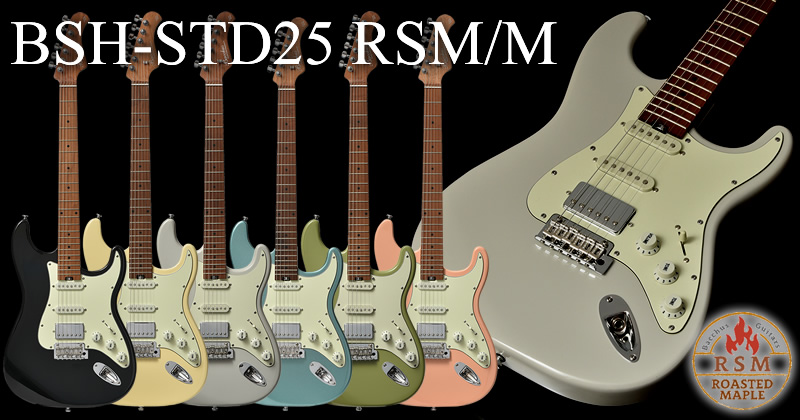 BSH-STD25 RSM/M