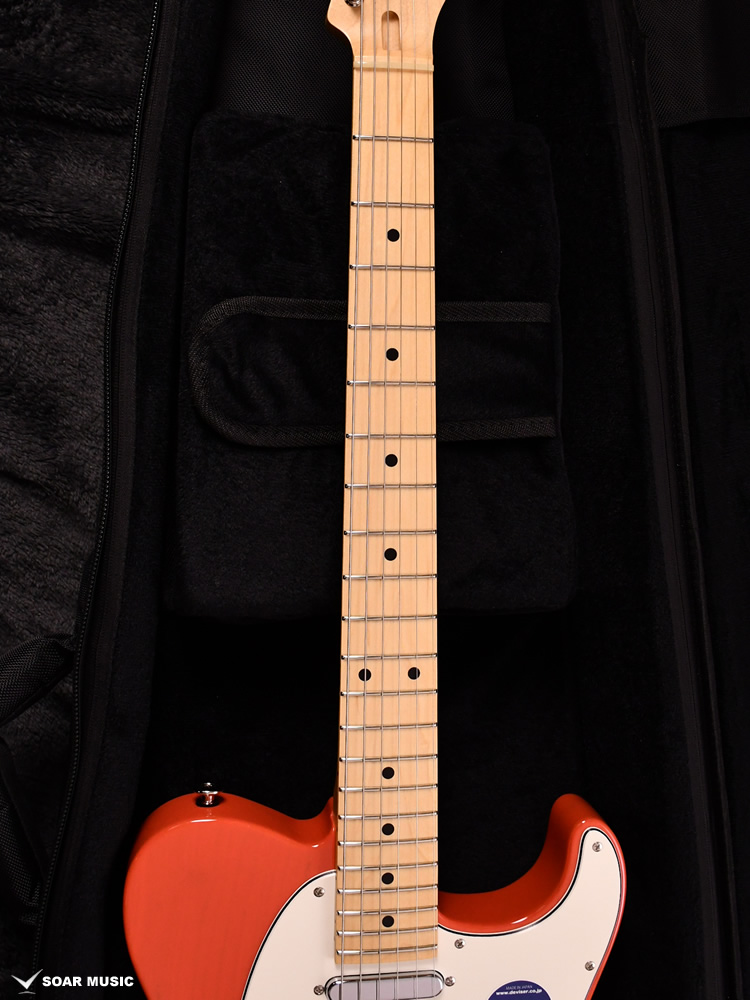 MT2-STD/M SFFR (Momose / モモセ) エレキギター